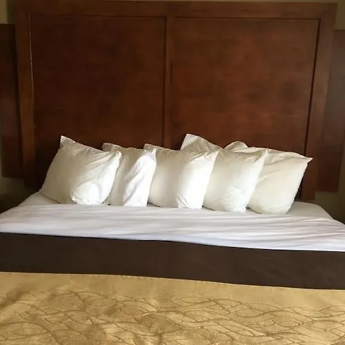 Quality & Near I-57 Hotel