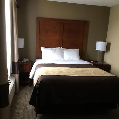 Quality & Near I-57 Hotel 3*