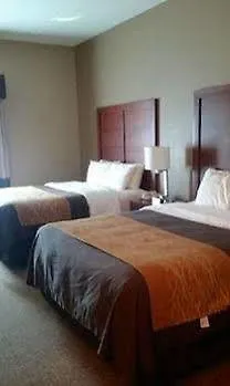 Quality & Near I-57 Hotel 3*